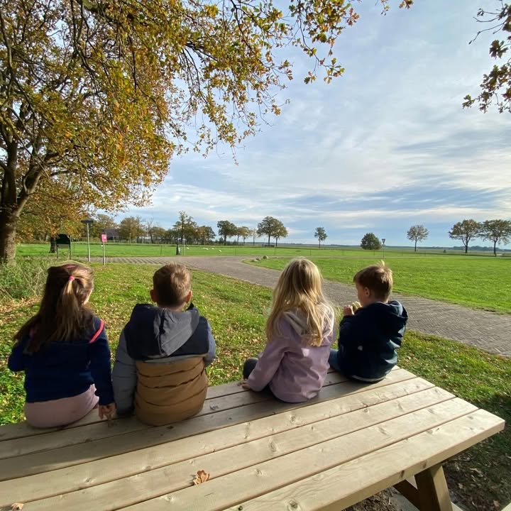 Facebook bericht afbeelding