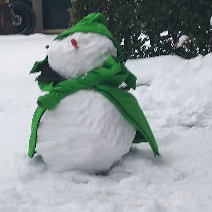 Facebook bericht afbeelding